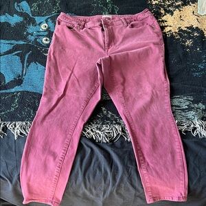 Ava & Viv Women's Straight Leg Jeans in Pink